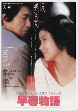 雾港谜航高清电影手机免费在线观看